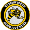 HK Sršne Košice